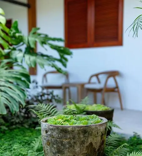 Villa Mimpi Nyata