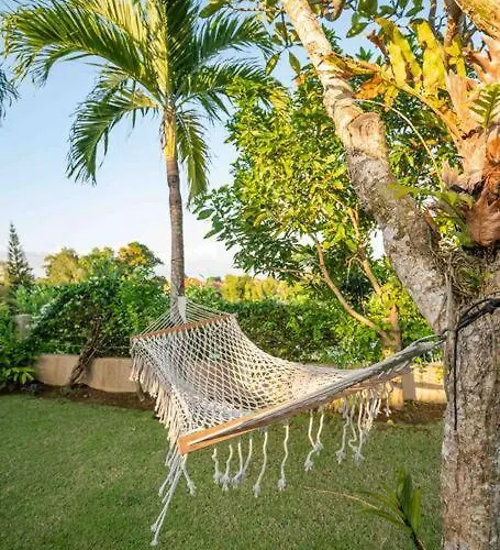 Villa Mimpi Nyata *